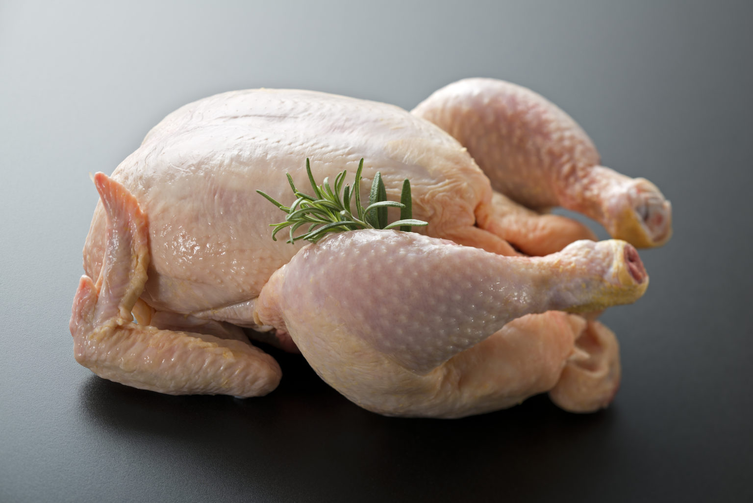 peut on donner du poulet cru a un chat