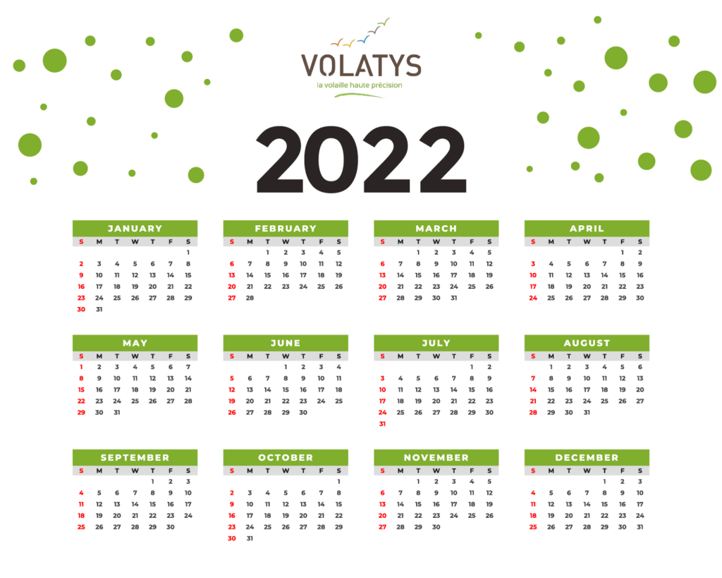 New year 2022 - Volatys